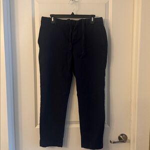 Banana Republic Men's Deep Blue Chinos